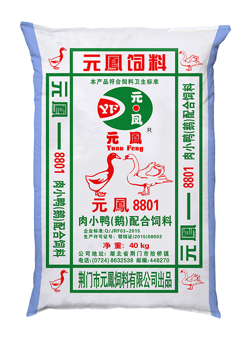 狗子28