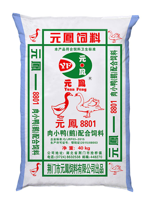 狗子28