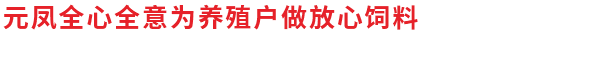 湖北鱼饲料厂家