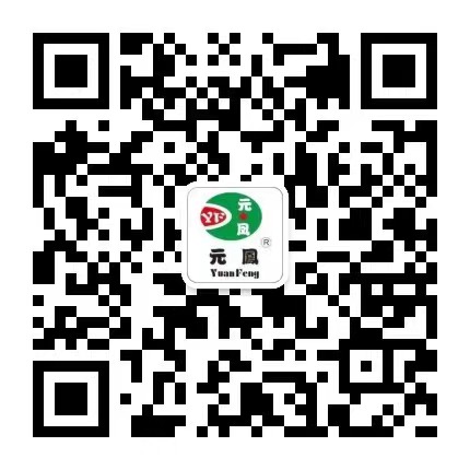 狗子饲料